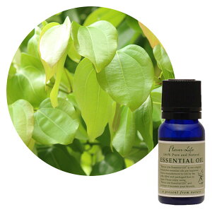 FL@GbZVIC@Vi[t@10ml@@t[o[Ct@A}@100%@sAGbZVIC@i`@A}v@F@fBtB[U[@~j{g