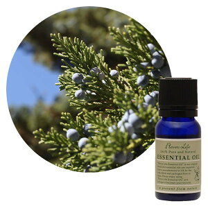 FL@GbZVIC@V_[Ebh@o[WjA@10ml@@t[o[Ct@A}@100%@sAGbZVIC@i`@A}v@F@fBtB[U[@