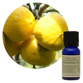 FL　エッセンシャルオイル　ベルガモット　10ml　精油　フレーバーライフ　アロマ　100%　ピュアエッセンシャルオイル　ナチュラル　アロマランプ　芳香浴　ディフィーザー　ミニボトル　香水　定形外発送