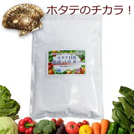 青森産 ホタテ貝殻焼成パウダー 500g ほたて 帆立 パウダー　野菜洗い・お掃除用 洗浄 除菌 野菜 果物 洗…