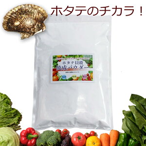 XY z^eLkĐpE_[ 500g ق  pE_[@ؐ􂢁E|p    ʕ    HiYO[h  N[i[ Y