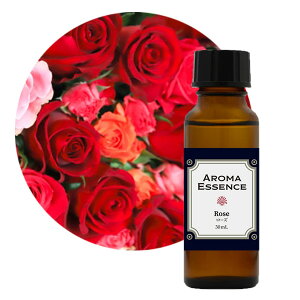 A}GbZX [Y 30ml A}IC  Fp A}|bg fBt[U[ RX tOX { A} GbZX `O