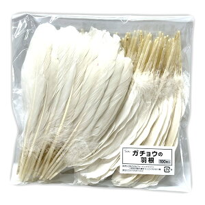 HV[ K`ẺH 100 20cm  VR  tFU[ `O