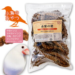 _ Ԉ̕ 500g ̉a t[h VR _ ɂ  ZLZCCR u`E JiA nX^[ SMILE PET CLUB