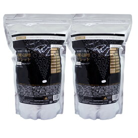 重炭酸 薬用 入浴剤 炭酸入浴剤タブレット 100錠 2個セット 個装タイプ 医薬部外品 日本製 重炭酸ソーダの力　温浴効果 血行促進 無香料 無着色