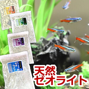 VR [ICg 0.9L d  z ߁@ɍזځEזځEځE ANAE K[fjO yÂ Ԓd v^[  Mы  | y Y