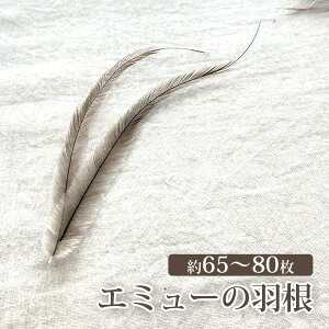 G~[̉H 4g 65`80  K^ ANZT[  nhCh f `O