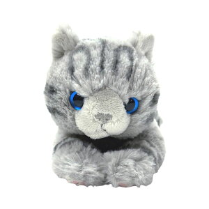 T Ђ˂ M ~P/IbhACWH/GY/BR/BK/ToV/`V/VAu[ ʂ  L lR