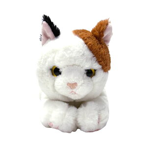 T Ђ˂ M ~P/IbhACWH/GY/BR/BK/ToV/`V/VAu[ ʂ  L lR