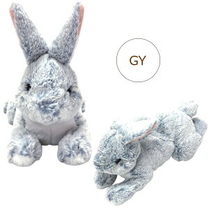 T Ђ S O[/zCg/x[W ʂ ETM ybg 