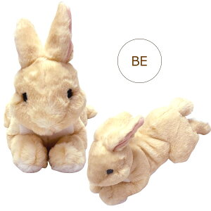 T Ђ S O[/zCg/x[W ʂ ETM ybg 