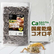 国産 乾燥コオロギ カルシウムプラス 100g 爬虫類用 日本飼育のフタボシコオロギ ダスティング 両生類 爬…