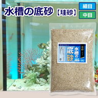 水槽の底砂 珪砂 800g 細目/中目 0.3〜0.8mm/1.7〜2.0mm 底砂利 砂利 底石 底床 アクアリウム 水槽の砂 S…