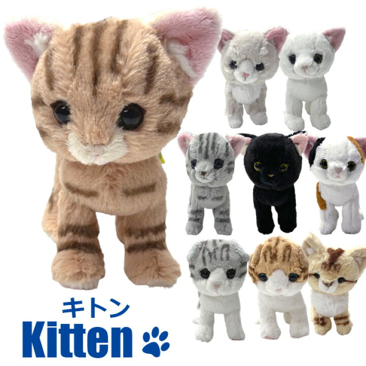 楽天市場】サンレモン kitten キトン ぬいぐるみ 猫 ねこ : アクアステラ 