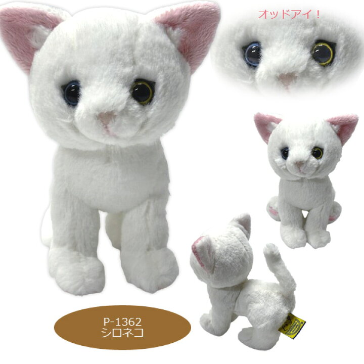 楽天市場】サンレモン kitten キトン ぬいぐるみ 猫 ねこ : アクアステラ
