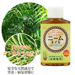 j[IC VglICuh 50ml VRAیt  _ y Q쏜 Q΍ 悯  | j[ICt |p t NbN|Xg