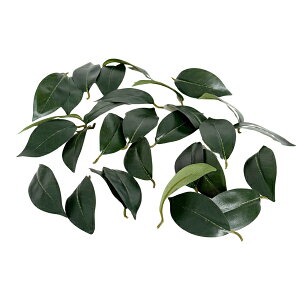 tFCN[t 30  60mm x 28mm [tV[ Ntgpp[c  `O