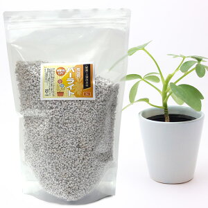 p[Cg 3L 3`6mm yǍ | 엿  y i