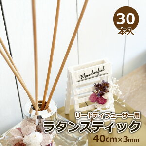 [hfBt[U[p^XeBbN 30{Zbg 40cm×3mm A}fBt[U[ [tOX IV Reed Stick `O