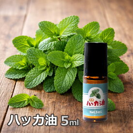天然ハッカ油 ロールオンタイプ 5ml 日本製 ハッカオイル 精油 携帯用 はっか油 マスク ハンカチ リフレッシュ 香り付け 定形外発送