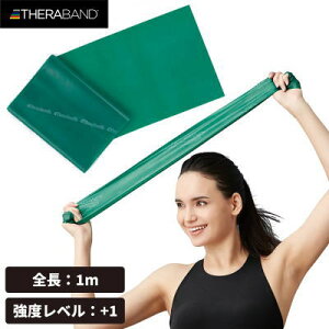 Zoh tH[Gg[ SҌ 1m xx+1 O[ TBE-3 THERABAND y1܂Ń[OKz