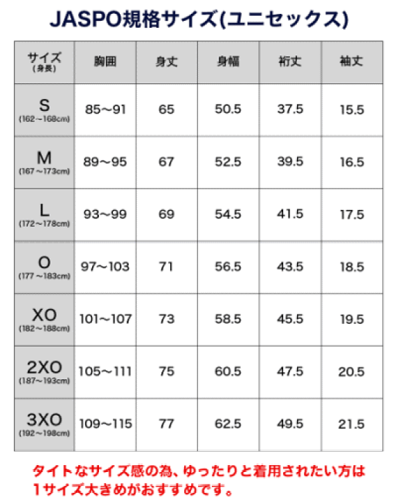 phiten - ファイテン バレーボールシャツ 3XOサイズ Phiten ファイテン メンズ レディス バレーボール 長袖Tシャツ