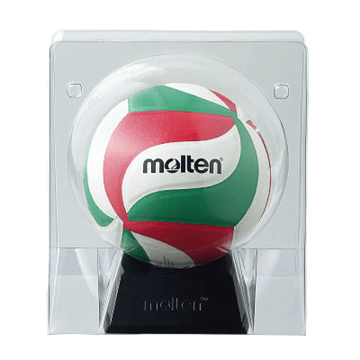 molten Soft Touch V5TH バレーボールサイン入り