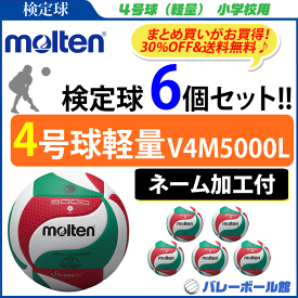 楽天市場 ボール バレーボール スポーツ アウトドア の通販