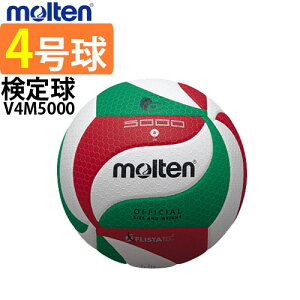 e o[{[ 4 苅 V4M5000 wZ molten tX^ebN 