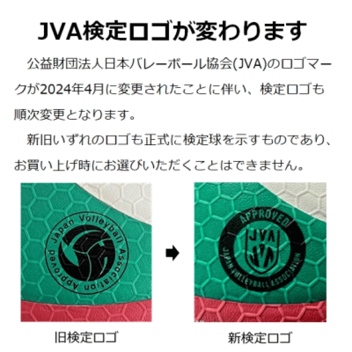 専用出品　バレーボール5号球 サイン入り(富士フィルム男子) v4m5000_top.png