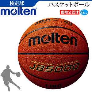 �����e�� �V�R��v �o�X�P�b�g�{�[��6���� ���ی��F�� ���苅 B6C5000