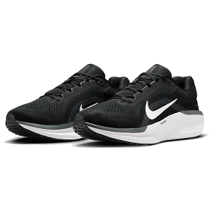 NIKE �i�C�L �����j���O�V���[�Y �g���[�j���O�V���[�Y �E�B���t���[ 11 �����Y �j���p FJ9509 001