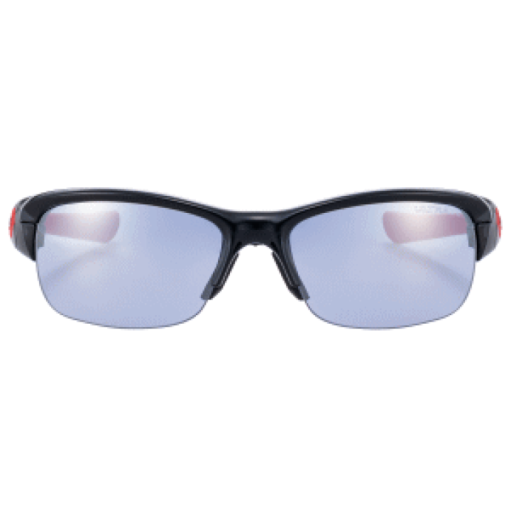 楽天市場】スワンズ SWANS サングラス アイウェア スプリングボック