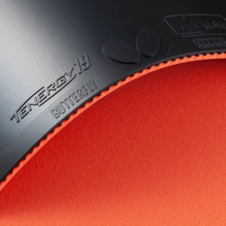 楽天市場】バタフライ Butterfly 卓球 ラバー テナジー19 06090【1枚