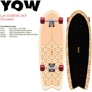 XP[g{[h yYOWzyLA COSTA 30g Cruiser CompletezRv[g T[tXP[g XP[g{[h Xm[{[h T[tB