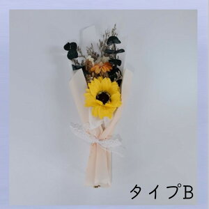 hCt[u[P AW  ԑ uU[h CeA a j Mtg  v[g