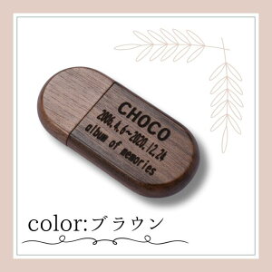 32GB USB[   [XeBbN tbVhCu tbV[ ^ f[^ۑ