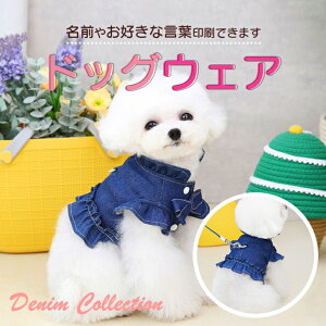  fj EFA tt   fjn XJ[g s[X  IWi