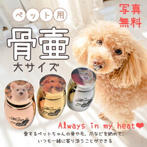 ʐ^ ~j  n[galways in my heart 4cm x 3cm A pi D  ⍜ XeX XeX ɗD d ~ ̐ll