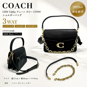 coach 日本未発売 ワンショルダーバッグ 3wey アンドレア シグネチャー 