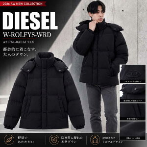 diesel ダウン」の人気商品一覧・価格比較 - 価格.com