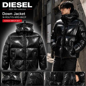 diesel ダウン」の人気商品一覧・価格比較 - 価格.com
