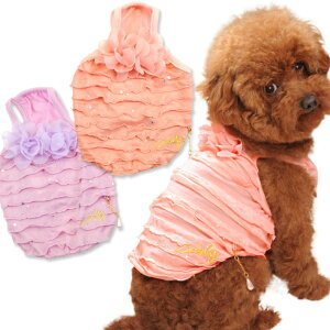 Air Balloon Summer FlowerL~\[ 3L sNEp[v ^p  Č