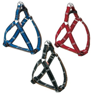 yeBI oXn[lX M O[EbhEu[ ^  p BASIC PLUS (x[VbNvX)