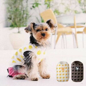 SimplersV hOVc S 2L O[EzCg ^`^p  ^Ngbv TVc XL LL