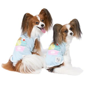 X[A[Y PiPi ACX ^Ngbv u[ 2E3E3OE4E5 (SEMEMD-MELEXL) ^`^p  LL 2L ACXN[