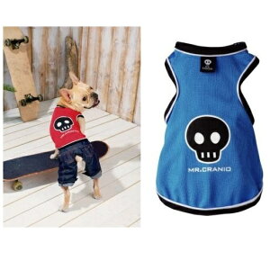 SimplersV XJbV^Ngbv SS 2L u[Ebh ^`^p  [NVeAE`E~j`AViEU[EpO XS XL LL