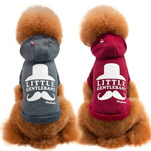 LITTLE GENTLEBANT qQ vg Nуp[J[ S M L XL bhEO[  ^`^p Ђ