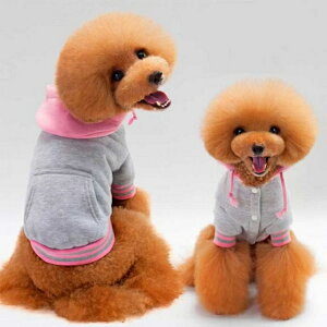 \tgRbg Nуp[J[ S M L XL sN ^`^p  LL 2L