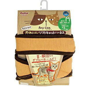 yeBI Anycat \tg Lbgn[lX Vv M IW Lp  (Gj[Lbg)